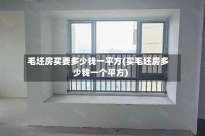 毛坯房买要多少钱一平方(买毛坯房多少钱一个平方)