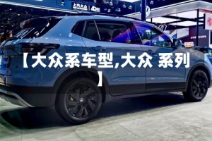 【大众系车型,大众 系列】