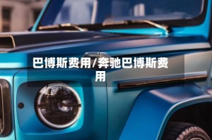 巴博斯费用/奔驰巴博斯费用