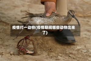 疫情打一动物(疫情期间哪些动物出来了)