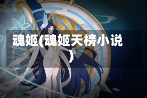 魂姬(魂姬天榜小说)