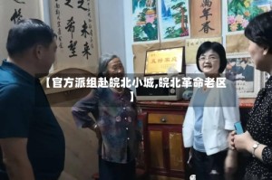 【官方派组赴皖北小城,皖北革命老区】