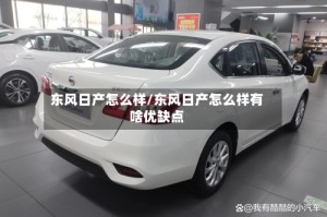 东风日产怎么样/东风日产怎么样有啥优缺点