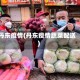 丹东疫情(丹东疫情蔬菜配送)