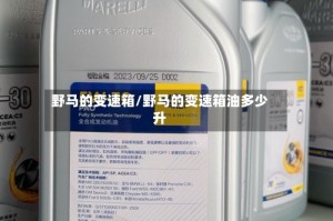 野马的变速箱/野马的变速箱油多少升