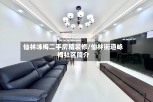 仙林咏梅二手房精装修/仙林街道咏梅社区简介