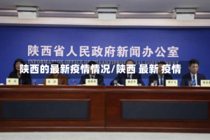 陕西的最新疫情情况/陕西 最新 疫情