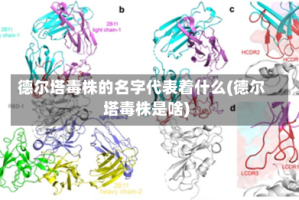 德尔塔毒株的名字代表着什么(德尔塔毒株是啥)