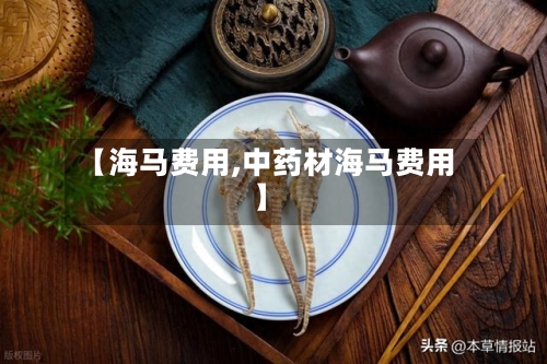 【海马费用,中药材海马费用】-第1张图片