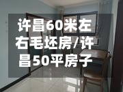 许昌60米左右毛坯房/许昌50平房子多少钱-第2张图片