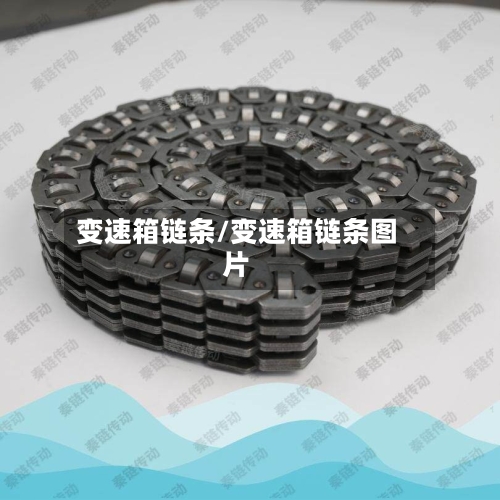 变速箱链条/变速箱链条图片-第1张图片