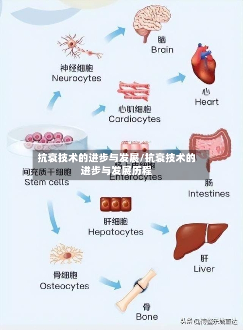 抗衰技术的进步与发展/抗衰技术的进步与发展历程-第2张图片