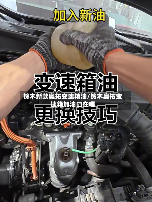 铃木新款奥拓变速箱油/铃木奥拓变速箱加油口在哪-第1张图片