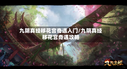 九阴真经移花宫奇遇入门/九阴真经移花宫奇遇攻略-第1张图片