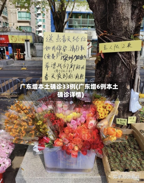 广东增本土确诊33例(广东增6例本土确诊详情)-第1张图片