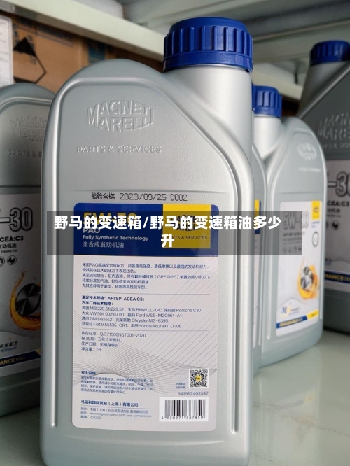 野马的变速箱/野马的变速箱油多少升-第1张图片