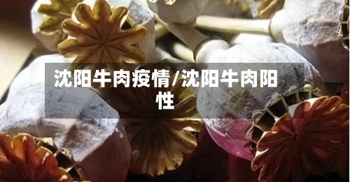 沈阳牛肉疫情/沈阳牛肉阳性-第2张图片