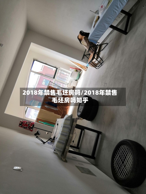 2018年禁售毛坯房吗/2018年禁售毛坯房吗知乎-第1张图片