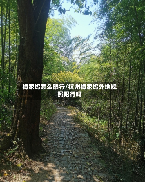 梅家坞怎么限行/杭州梅家坞外地牌照限行吗-第1张图片
