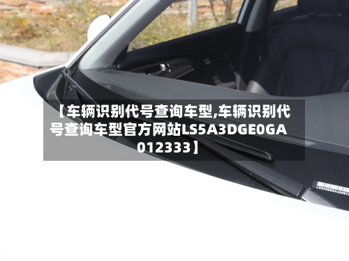 【车辆识别代号查询车型,车辆识别代号查询车型官方网站LS5A3DGE0GA012333】-第2张图片