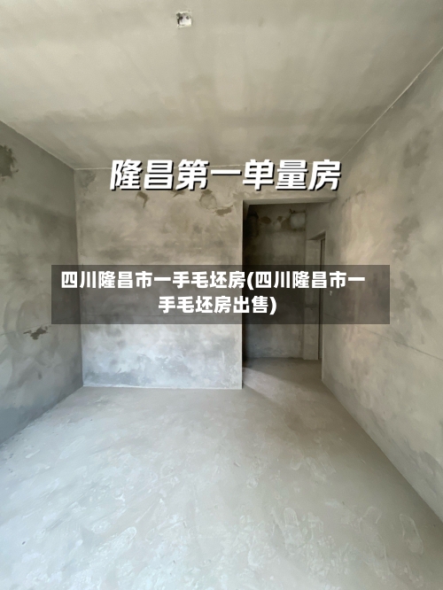 四川隆昌市一手毛坯房(四川隆昌市一手毛坯房出售)-第1张图片