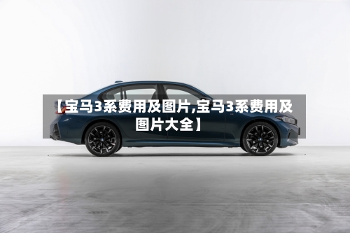 【宝马3系费用及图片,宝马3系费用及图片大全】-第3张图片