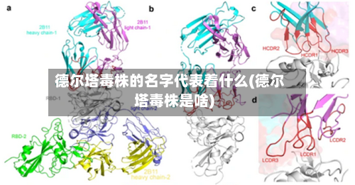 德尔塔毒株的名字代表着什么(德尔塔毒株是啥)-第1张图片