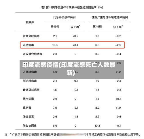 印度流感疫情(印度流感死亡人数最新)-第2张图片