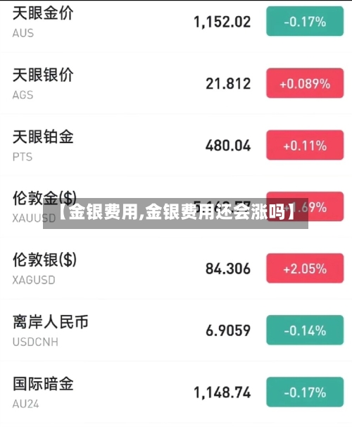 【金银费用,金银费用还会涨吗】-第2张图片