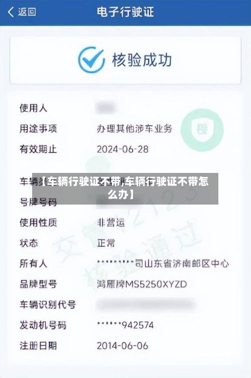 【车辆行驶证不带,车辆行驶证不带怎么办】-第1张图片