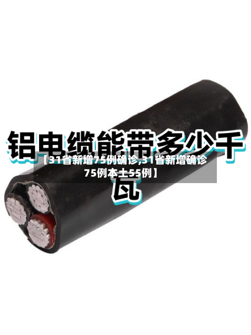 【31省新增75例确诊,31省新增确诊75例本土55例】-第2张图片