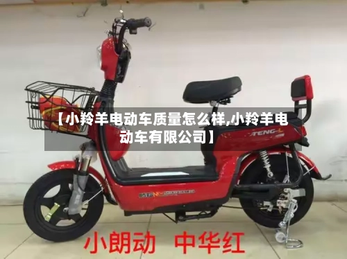 【小羚羊电动车质量怎么样,小羚羊电动车有限公司】-第1张图片