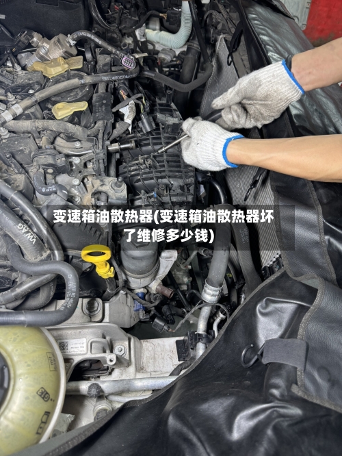变速箱油散热器(变速箱油散热器坏了维修多少钱)-第3张图片