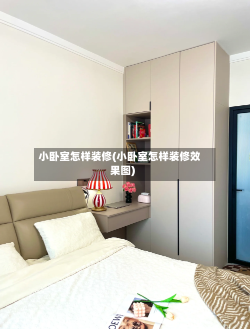 小卧室怎样装修(小卧室怎样装修效果图)-第1张图片
