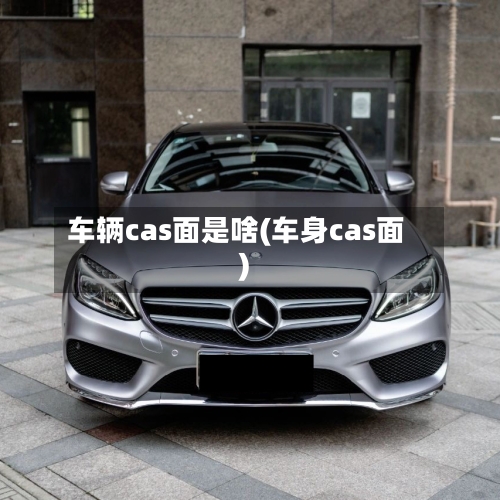 车辆cas面是啥(车身cas面)-第3张图片
