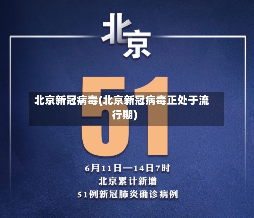 北京新冠病毒(北京新冠病毒正处于流行期)-第2张图片