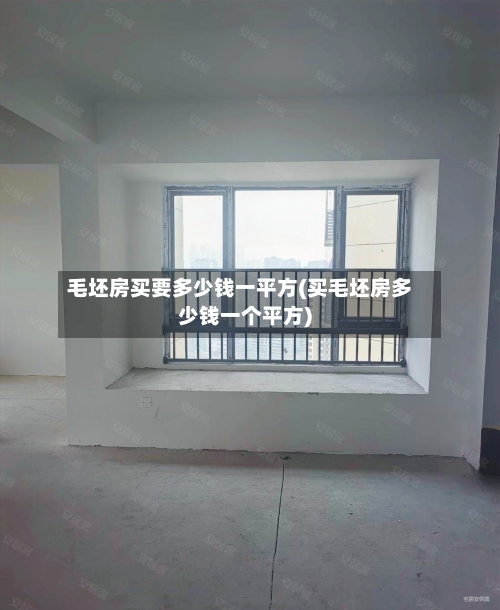 毛坯房买要多少钱一平方(买毛坯房多少钱一个平方)-第1张图片