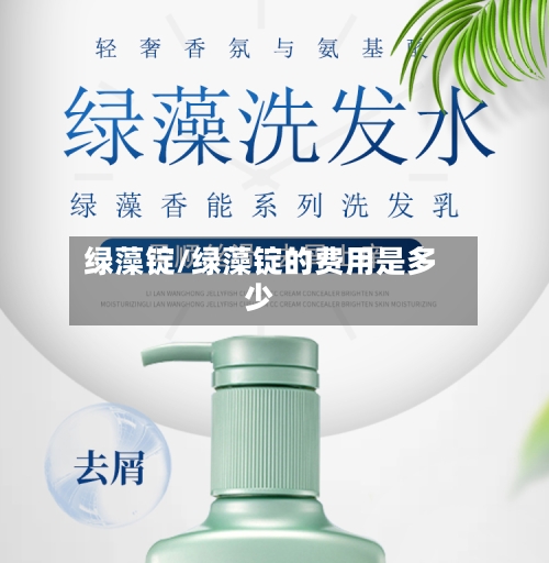 绿藻锭/绿藻锭的费用是多少-第2张图片