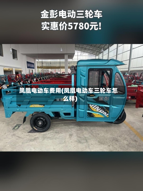 凤凰电动车费用(凤凰电动车三轮车怎么样)-第1张图片