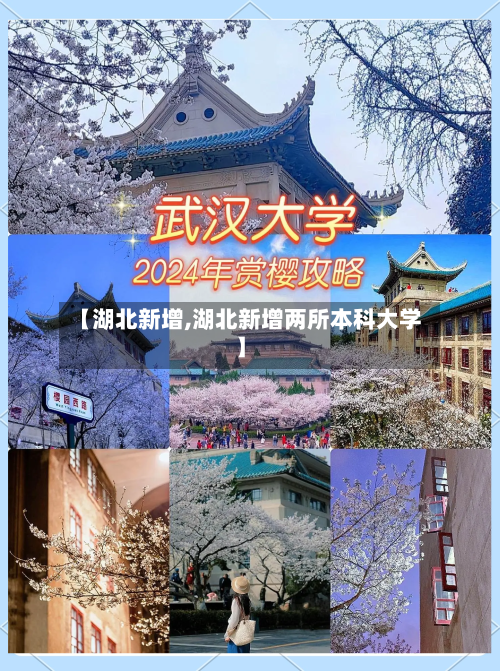 【湖北新增,湖北新增两所本科大学】-第3张图片