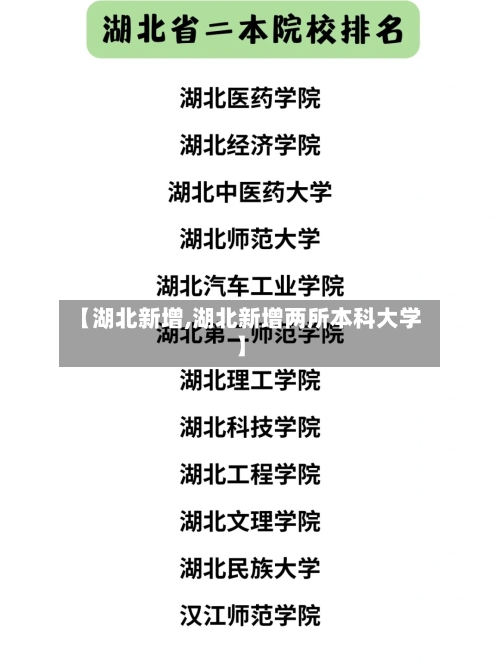 【湖北新增,湖北新增两所本科大学】-第2张图片