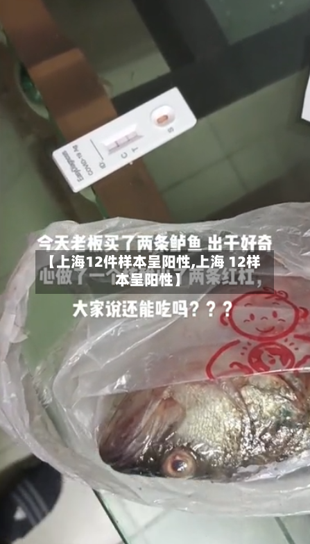 【上海12件样本呈阳性,上海 12样本呈阳性】-第2张图片