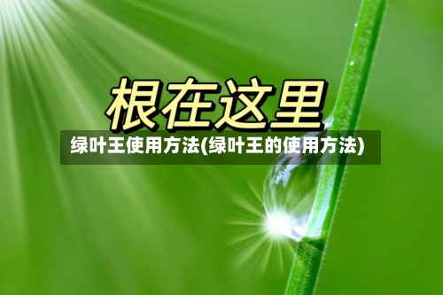 绿叶王使用方法(绿叶王的使用方法)-第1张图片